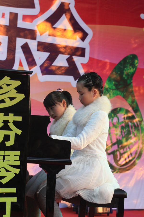 多芬艺术学校2015年新年音乐会圆满成功